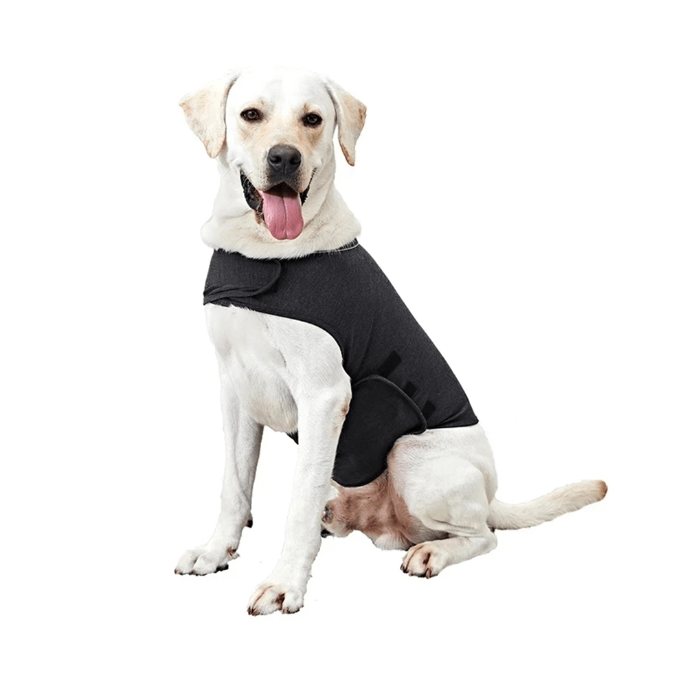 gid://shopify/MediaImage/33701393531120